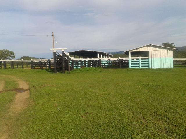 Fazenda - 981 Hectares - Cuiabá/MT - Foto 6