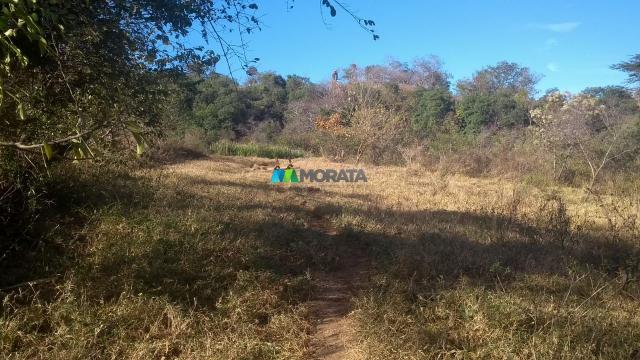 Fazenda à venda - 40 hectares - lavras (mg) - Foto 6