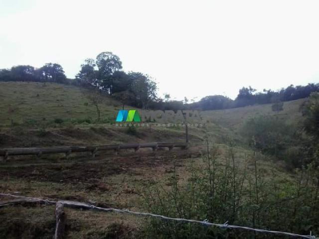 Fazenda - 59 hectares - bonfim (mg) - Foto 3