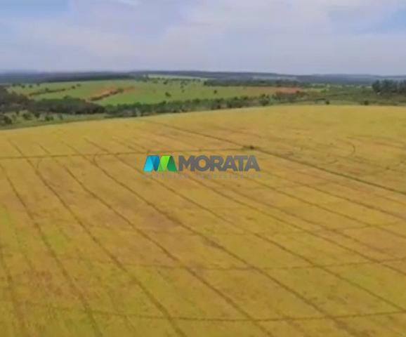FAZENDA À VENDA – 300 HECTARES – REGIÃO DE PARÁ DE MINAS (MG) - Foto 4