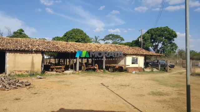 Fazenda à venda - 100 hectares - sete lagoas (mg) - Foto 12