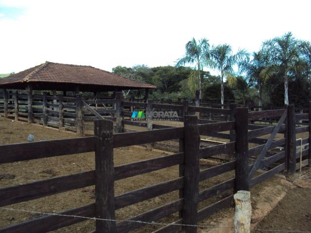 FAZENDA À VENDA - 300 HECTARES - PITANGUI (MG) - Foto 3