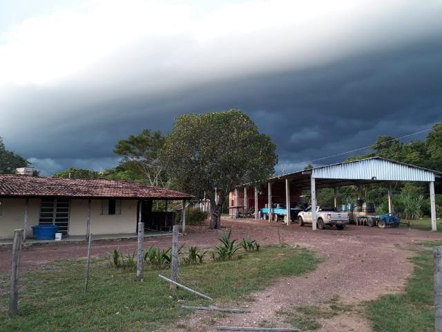 Fazenda - 1450 Hectares - Nossa Senhora do Livramento/MT