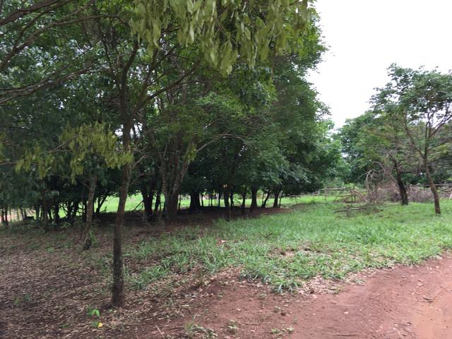 Chácara em Bela Vista de Goiás com casa - Foto 17