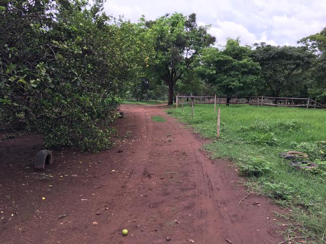 Chácara em Bela Vista de Goiás com casa - Foto 8