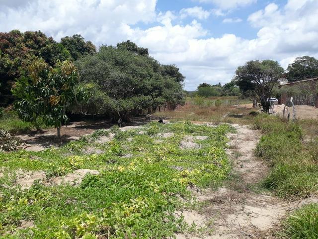 Terreno na Serra de Itabaiana - Foto 6