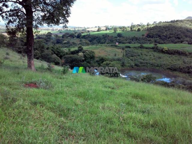 FAZENDA - 122,80 hectares - PEQUI (MG) - Foto 5