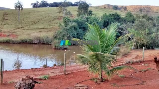 Fazenda à venda - 75 hectares - onça do pitangui (mg) - Foto 9
