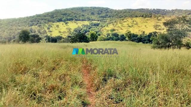 FAZENDA À VENDA - 187 HECTARES - ONÇA DO PITANGUI (MG) - Foto 10