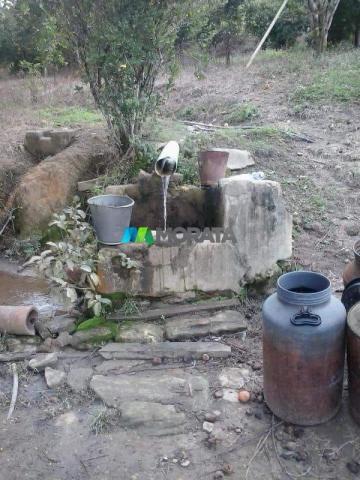 Fazenda - 59 hectares - bonfim (mg) - Foto 12