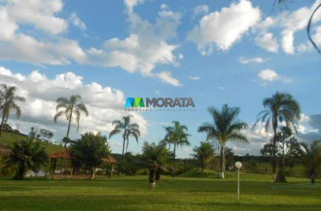 Fazenda / haras à venda - 16 hectares - brumadinho (mg) - Foto 7