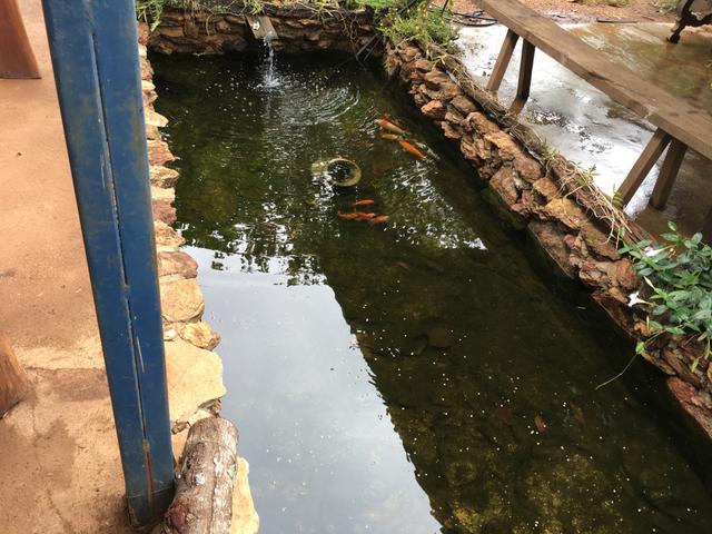 Chácara em Bela Vista de Goiás com casa - Foto 4