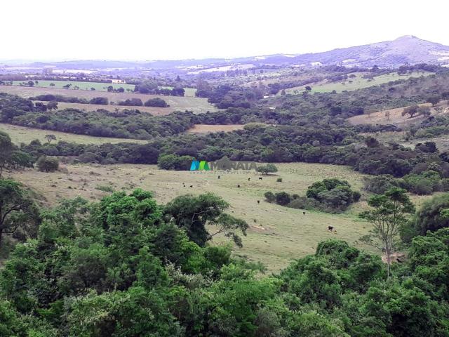 Fazenda à venda - 90 hectares - lavras (mg) - Foto 13