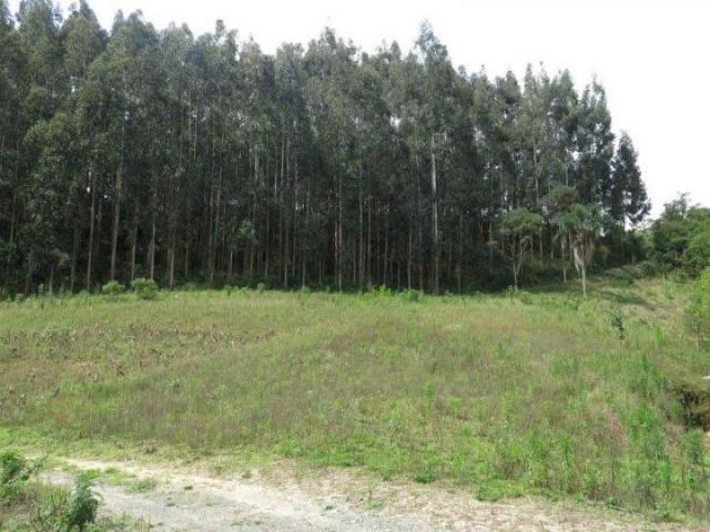 Chácara para Venda, 71.959,20 m², Piên / PR, bairro Poço Frio, 3 dormitórios