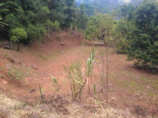 Sítio 40.000m2 em Casimiro de Abreu - Foto 8