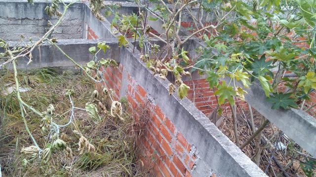Terreno Vila Amato com construção - Foto 3