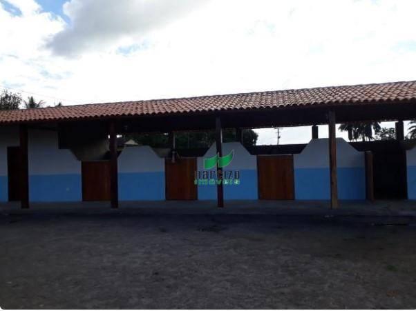 Oportunidade rara!!! venda da fazenda mil e um motivos - Foto 9