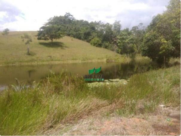 Linda fazenda à venda, 8000000 m² por r$ 6.300.000 - inocoop - itamaraju/ba - Foto 5