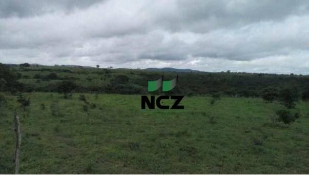 Fazenda à venda, 12620000 m² por r$ 22.000.000,00 - aeroporto - feira de santana/ba - Foto 8