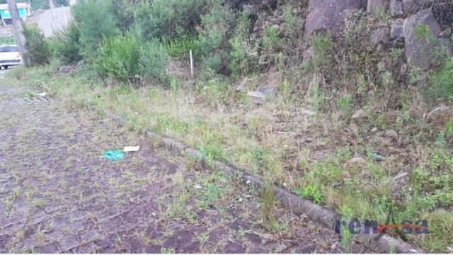 Terreno em flores da cunha - Foto 3