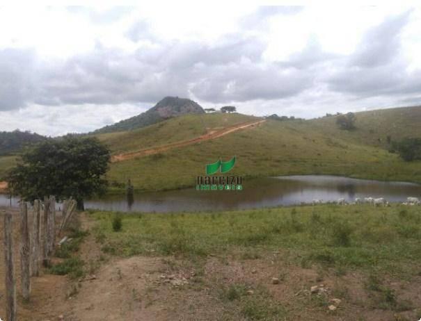 Linda fazenda à venda, 8000000 m² por r$ 6.300.000 - inocoop - itamaraju/ba - Foto 2