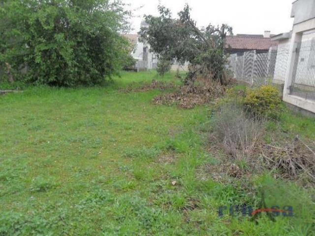Terreno em caxias do sul - Foto 2