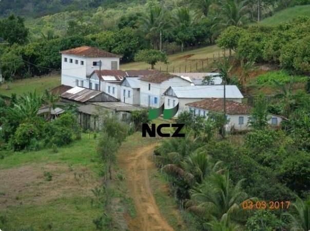 Fazenda à venda, 2780000 m² por r$ 3.000.000 - nova palma - gongogi/ba