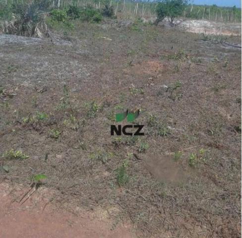 Fazenda à venda, 1450200000 m² por R$ 146.000.000 - Parque Independência - Chapadinha/MA - Foto 6