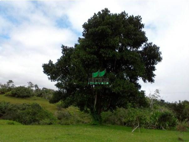 Fazenda à venda, 4190000 m² por r$ 5.600.000 - cidade nova - ilhéus/ba - Foto 15