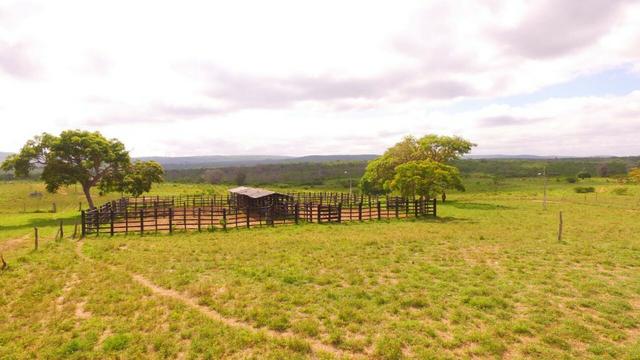 Fazenda Jaguaquara - Foto 20