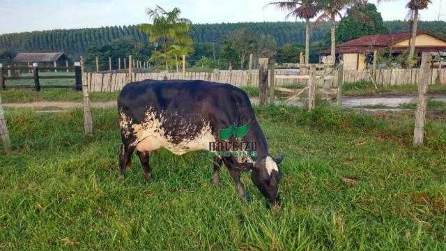 Fazenda rural à venda, caraiva, porto seguro. - Foto 9