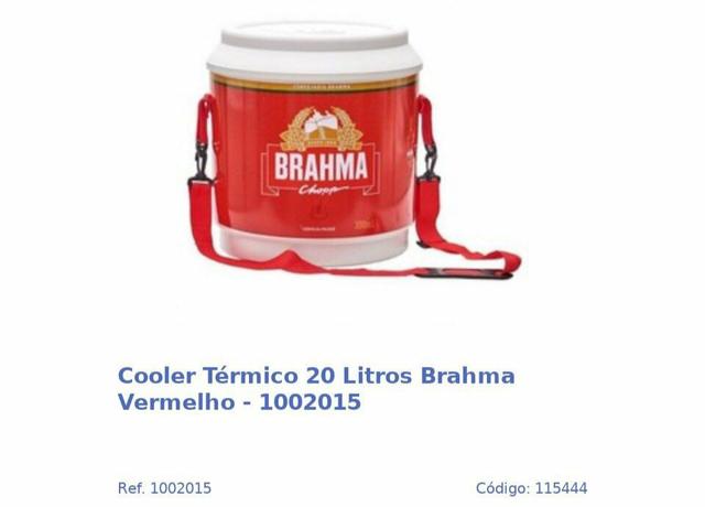 COOLER TÉRMICO DA BRAHMAAA 20 litros