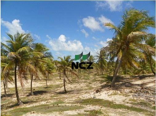 Fazenda à venda, 380000 m² por r$ 3.040.000 - litoral norte - jandaíra/ba - Foto 10