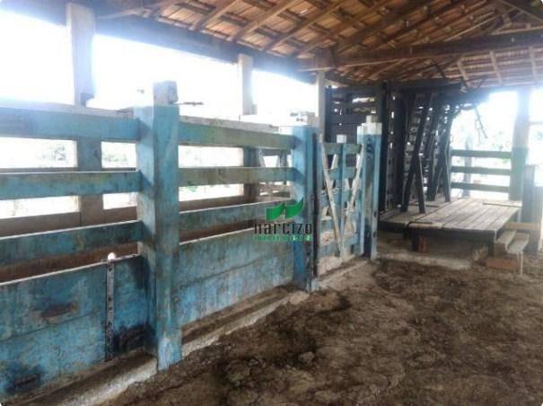 Linda fazenda à venda, 8000000 m² por r$ 6.300.000 - inocoop - itamaraju/ba - Foto 20