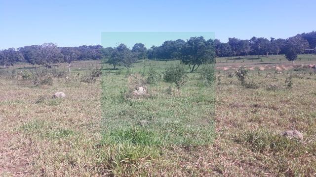 Sítio em jangada MT Localizada a 30 km da cidade - Foto 2