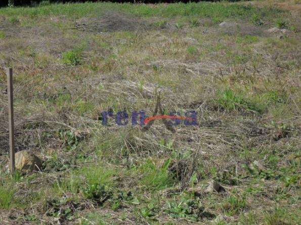 Terreno em caxias do sul - Foto 3