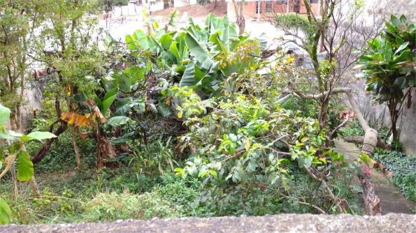Terreno à venda em Tremembé, São paulo cod:170-IM506443 - Foto 2
