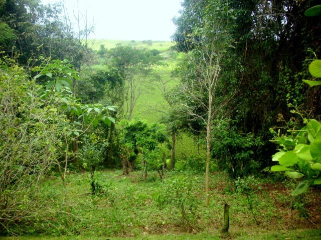 Terreno 450 m2 Condomínio Vale do Jacarandá - Foto 13