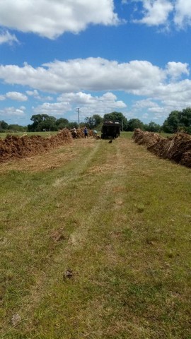 Capim Santa Fé - Foto 5