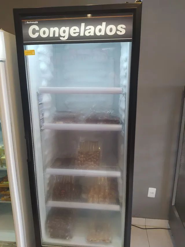 Freezer vertical congelado +316 anúncios na OLX Brasil