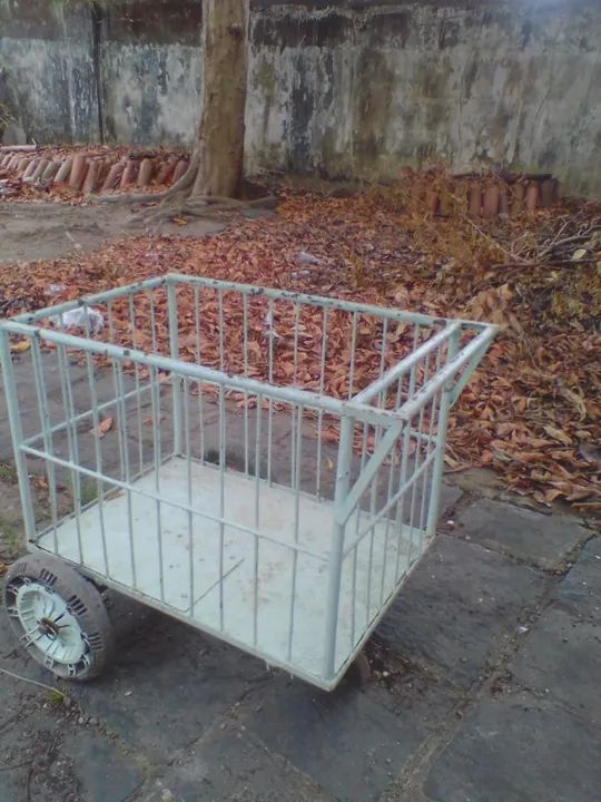 Carroça para vendas de cocô e outros produtos ou fretes - Foto 2