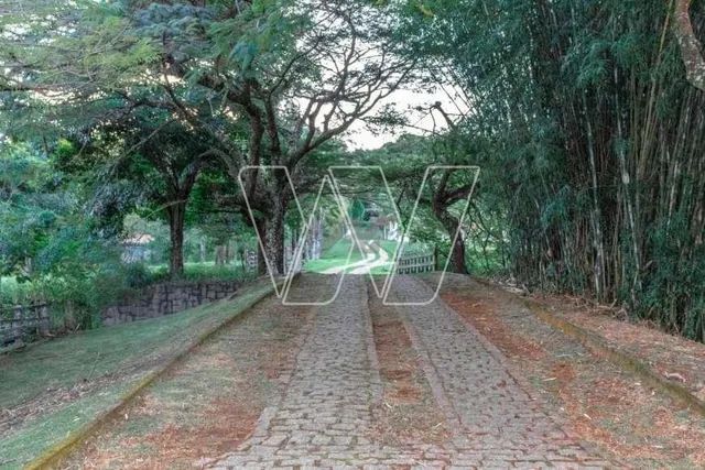 sítio - Joaquim Egídio - Campinas - Foto 4