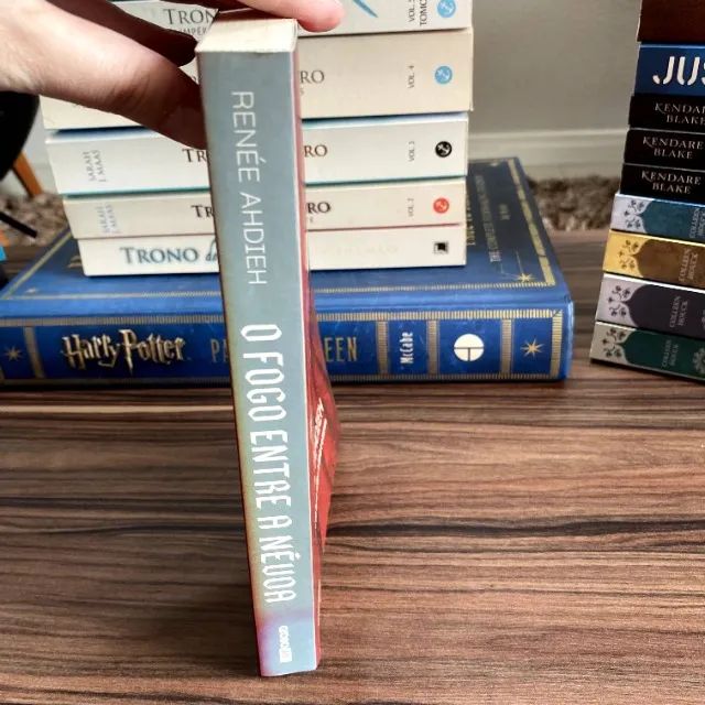 Livro O Fogo entre a Névoa - Foto 3