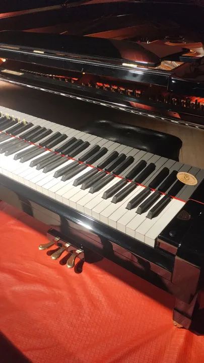 Piano meia cauda locação  - Foto 5