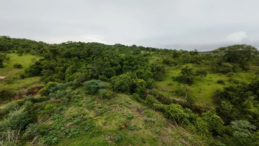 Fazenda à Venda - Oportunidade Rara! - Foto 3