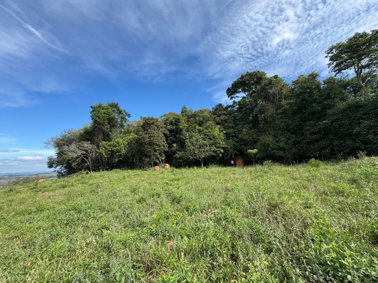 Fazenda em Entre Rios de Minas  - Foto 5