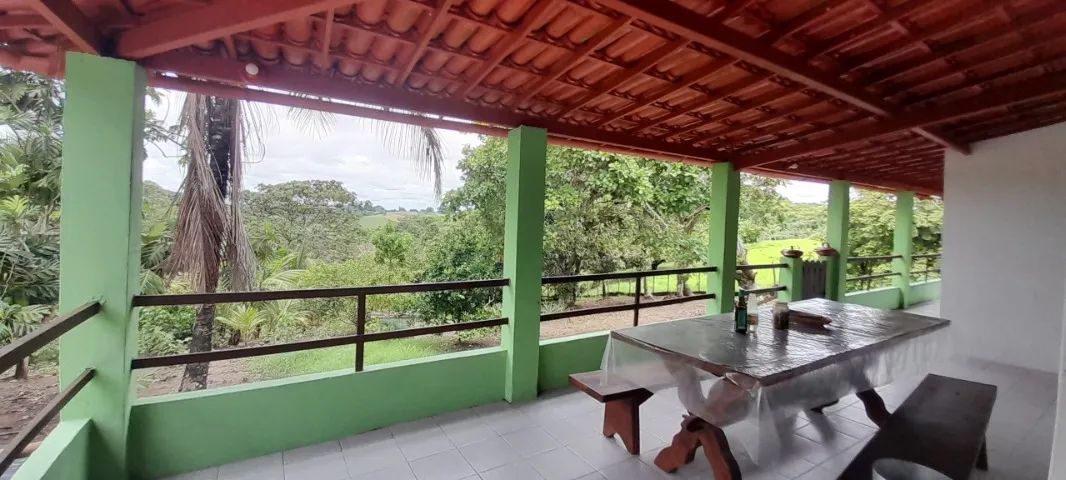 Sítio em local tranquilo e seguro com árvores frutíferas - Foto 3