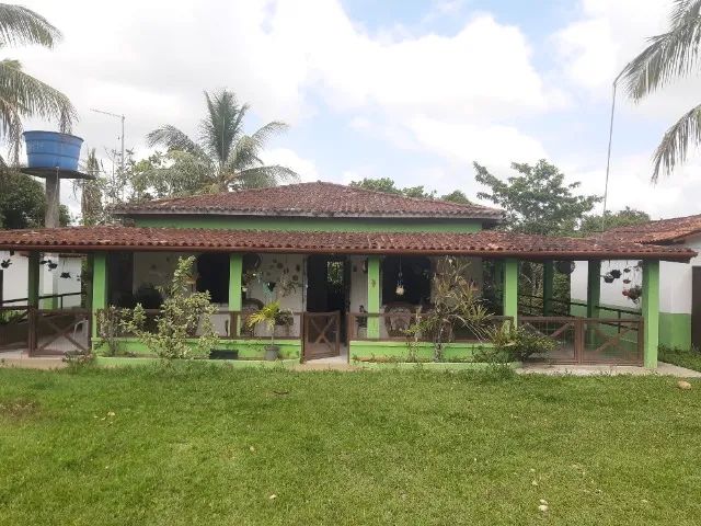 Sítio em local tranquilo e seguro com árvores frutíferas - Foto 5