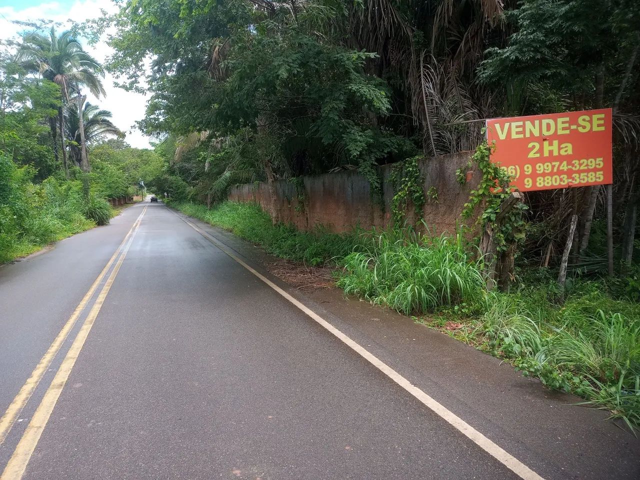 Vende se esse terreno ou Aluga-se - Foto 2