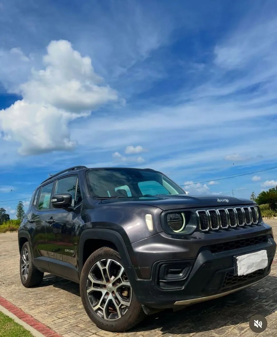 Jeep renegate 2022/2023